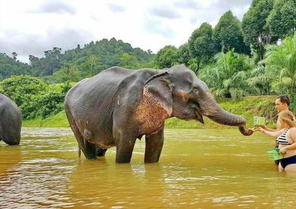 Khao Sok River & Jungle Bungalow - 2