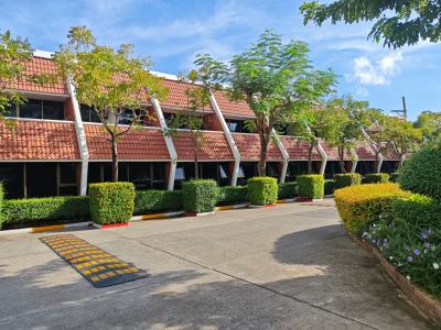 Patong Resort - 8