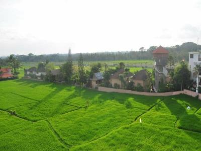 The Evitel Resort Ubud - 23