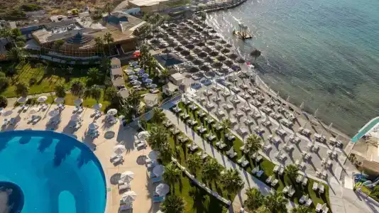 Cocos the Club Solto - 22