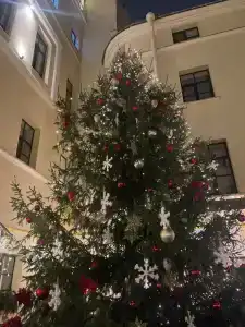 Maria St. Petersburg - 67