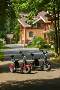 Zhemchuzhina Zolotogo Koltsa - 55