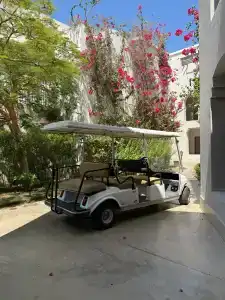 Steigenberger Alcazar - 14