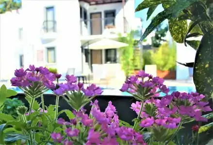 Modern Life Bodrum - 2