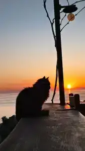 Kabak Misafir Evi - 4