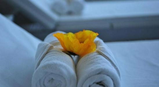 Axis Porto Business & Spa - 6