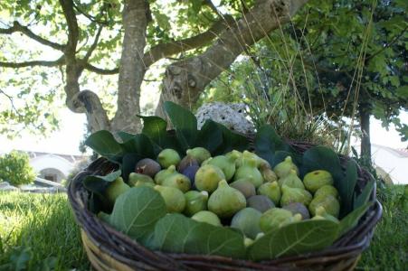 Masseria Chiancone Torricella - 27
