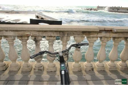Hotiday Room Collection - Livorno Mascagni - 17