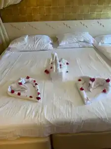 Spice & Spa All Inclusive - 44