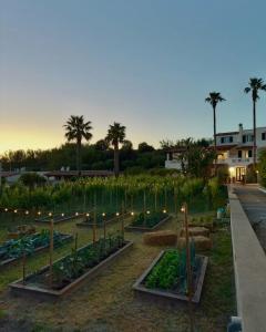 Residence San Domenico - 46