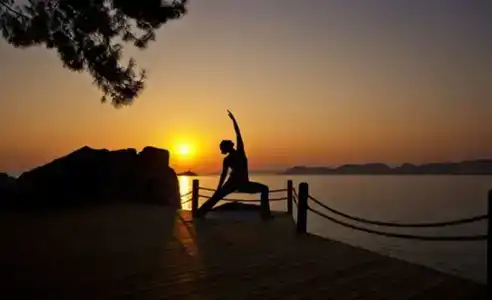 Perdue Adults Only - 4