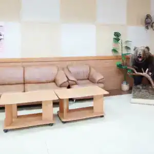 Barguzin ZONT Group - 12