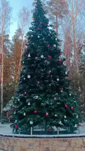 Zhemchuzhina Zolotogo Koltsa - 43