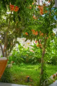 Kaya Apart Datca - 40