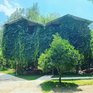 Camlik Pansiyon - Adults Only (16+) - 18