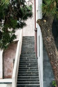 Ramo d'Aria Etna Boutique - 7