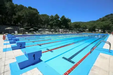 Pugnochiuso Resort - Degli Ulivi - 38