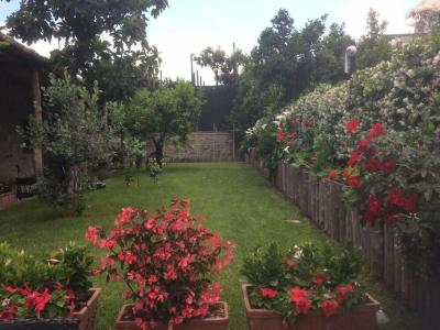 Giardino Sorrentino - 18