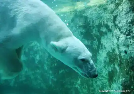 Wing International Asahikawa Ekimae - 38