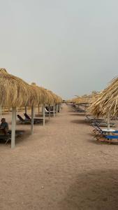 Steigenberger Alcazar - 15