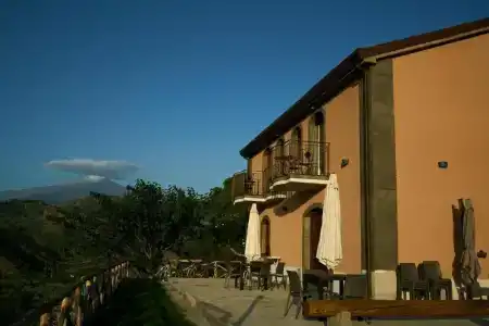 Antico Palmento di Feo Coniglio - 26
