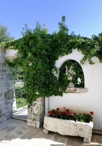 Masseria Chiancone Torricella - 12