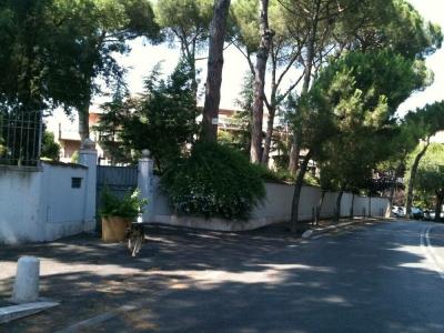 Relais La Canfora - 8
