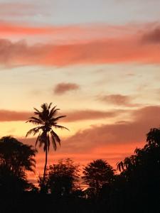 Bambous River Lodge - 20