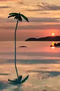 Alexandra Elegance Bridging Generations - 10