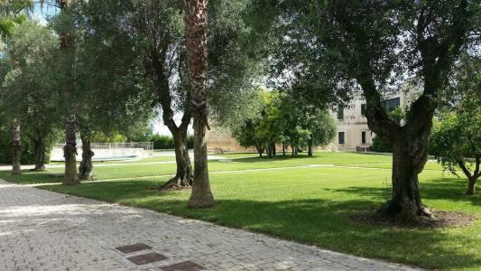 Art& Park Lecce - 29