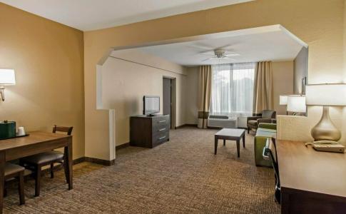 Comfort Suites Maingate East - 75