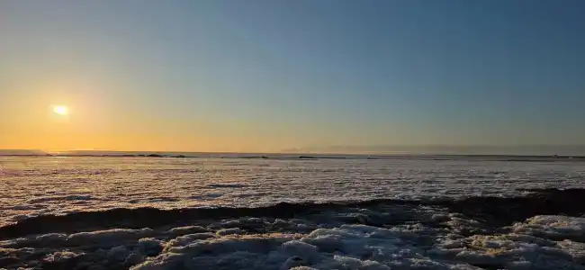 Chernichnyi Bereg - 35