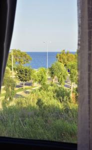 Demyra Boutique - 14