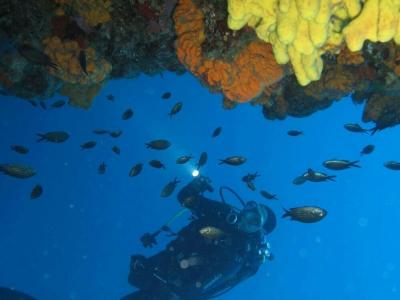 Maya Bistro & Beach - 27