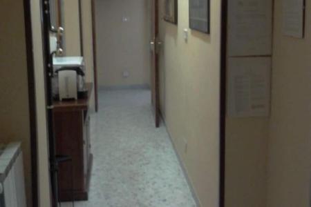 Gatto Bianco Picone 19 - 22