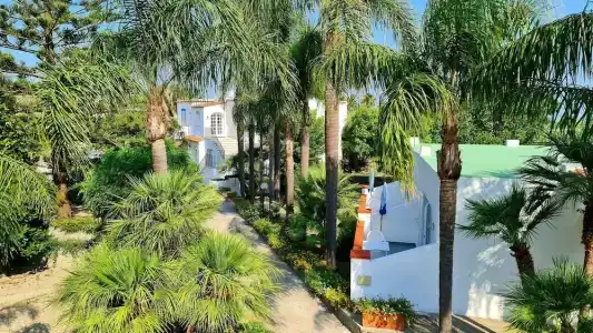 Cocos Park Ischia - 0