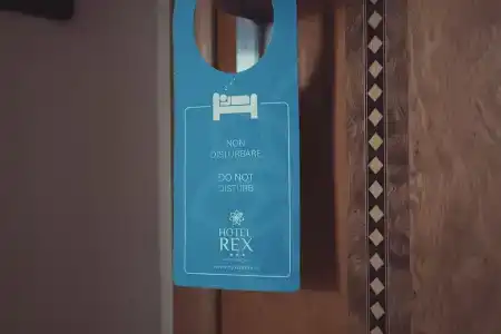 Rex - 29