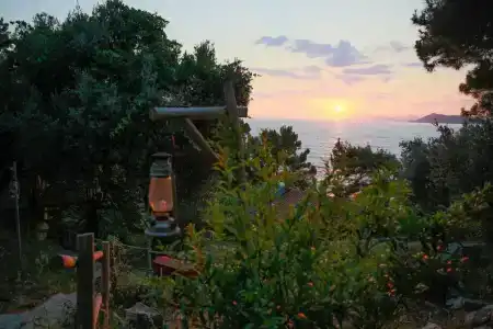 Perdue Adults Only - 19