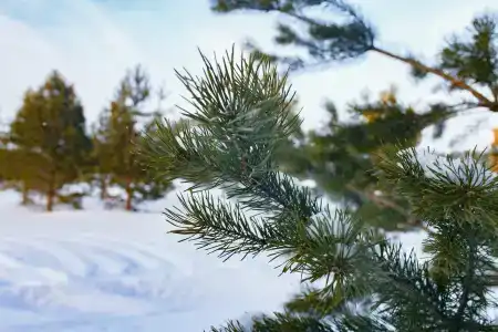 Park-otel Polskii Gorodok - 21