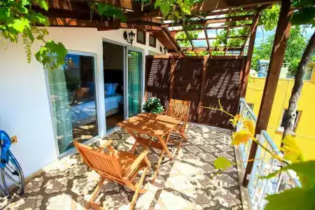 Lemon Villa - Adult Only - 33