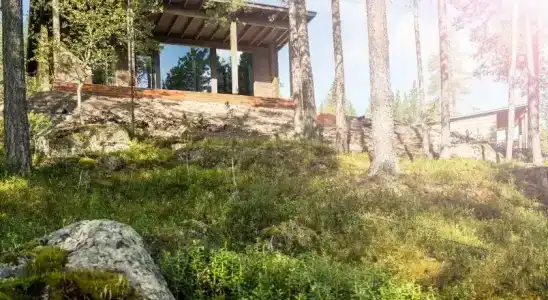 Arctic TreeHouse - 0