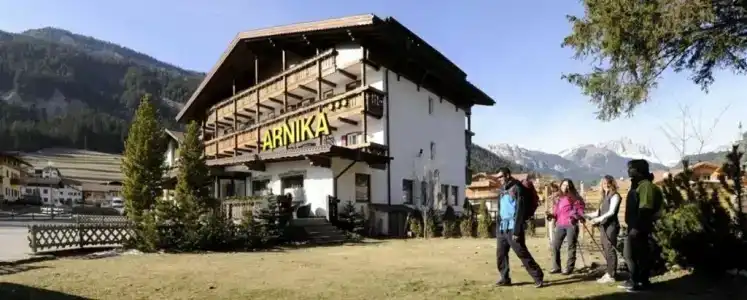 Arnika - 9
