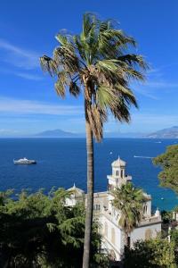 Luxury Villa Excelsior Parco - 22