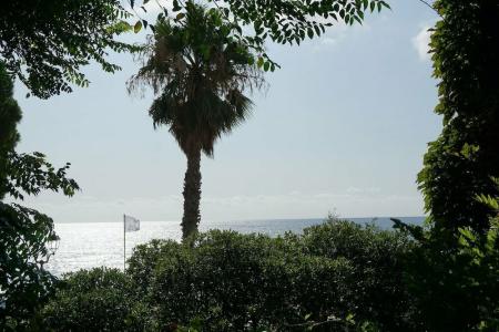 Beau Rivage - 34