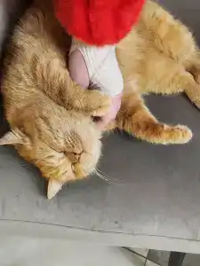 Dzerzhinskogo Sanatorium - 76