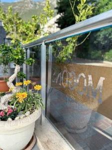 Mogons Exclusive - 34