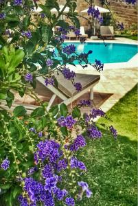 Swan Lake - Adult Only - 21