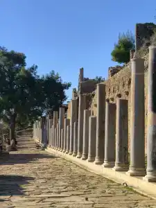 Alaiye Kleopatra - 12