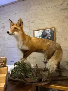 Baza Otdykha Ogni Imandry - 33