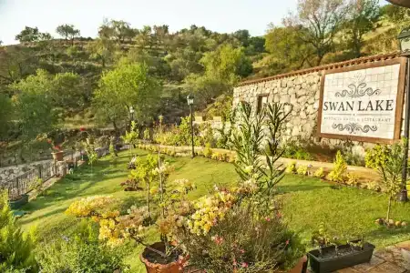 Swan Lake - Adult Only - 3